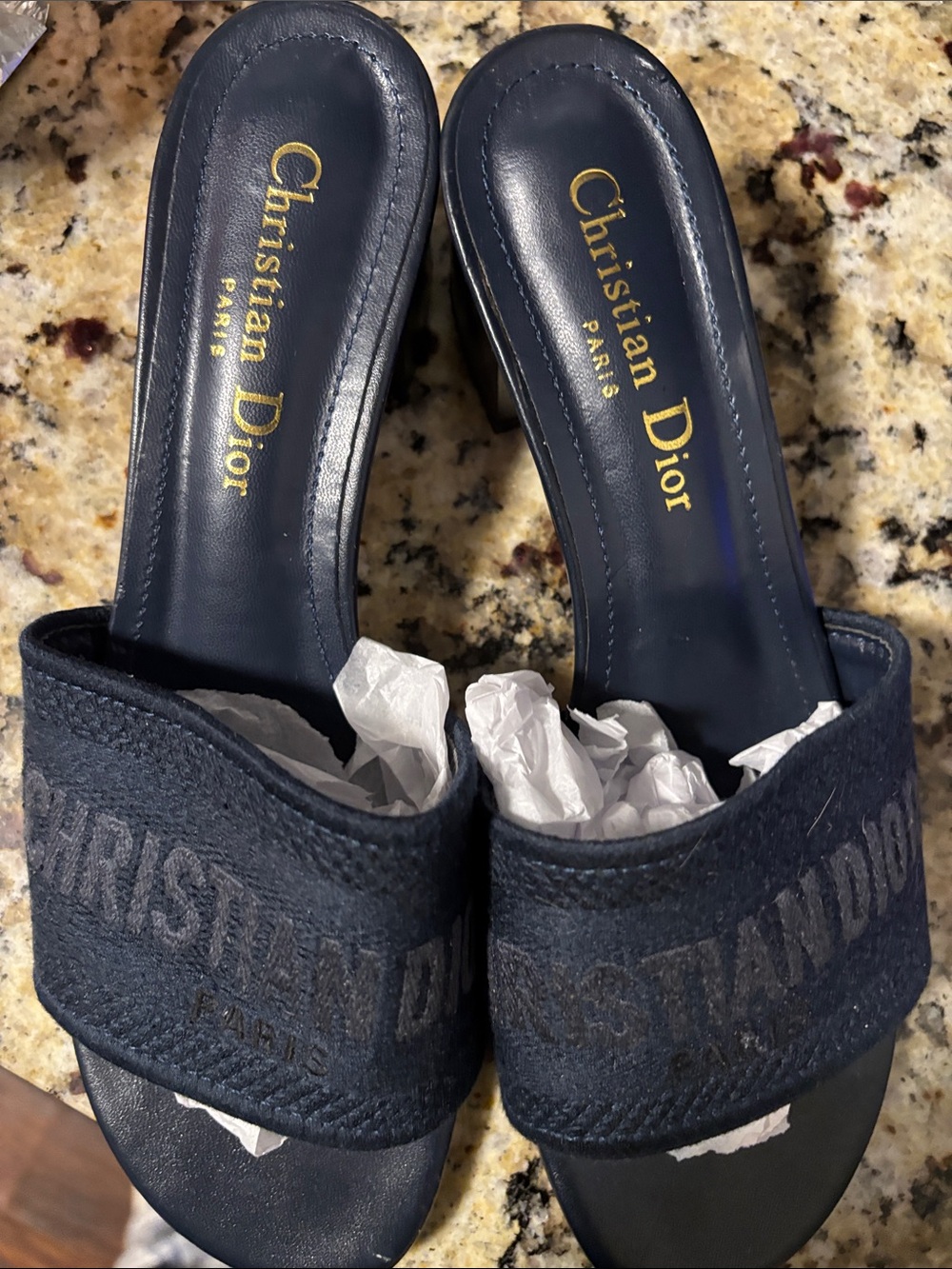 Dior Navy Embroidered Slide Mules with Gold Logo